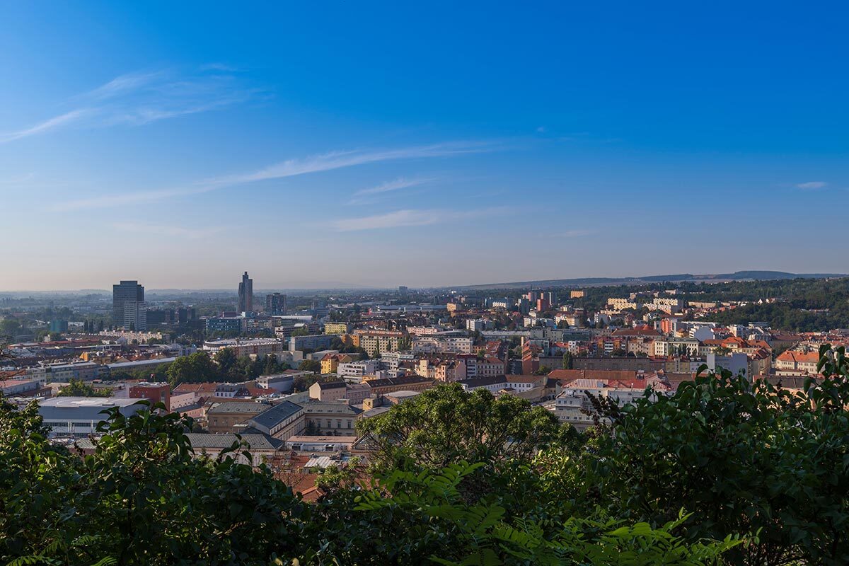 advocado Brno