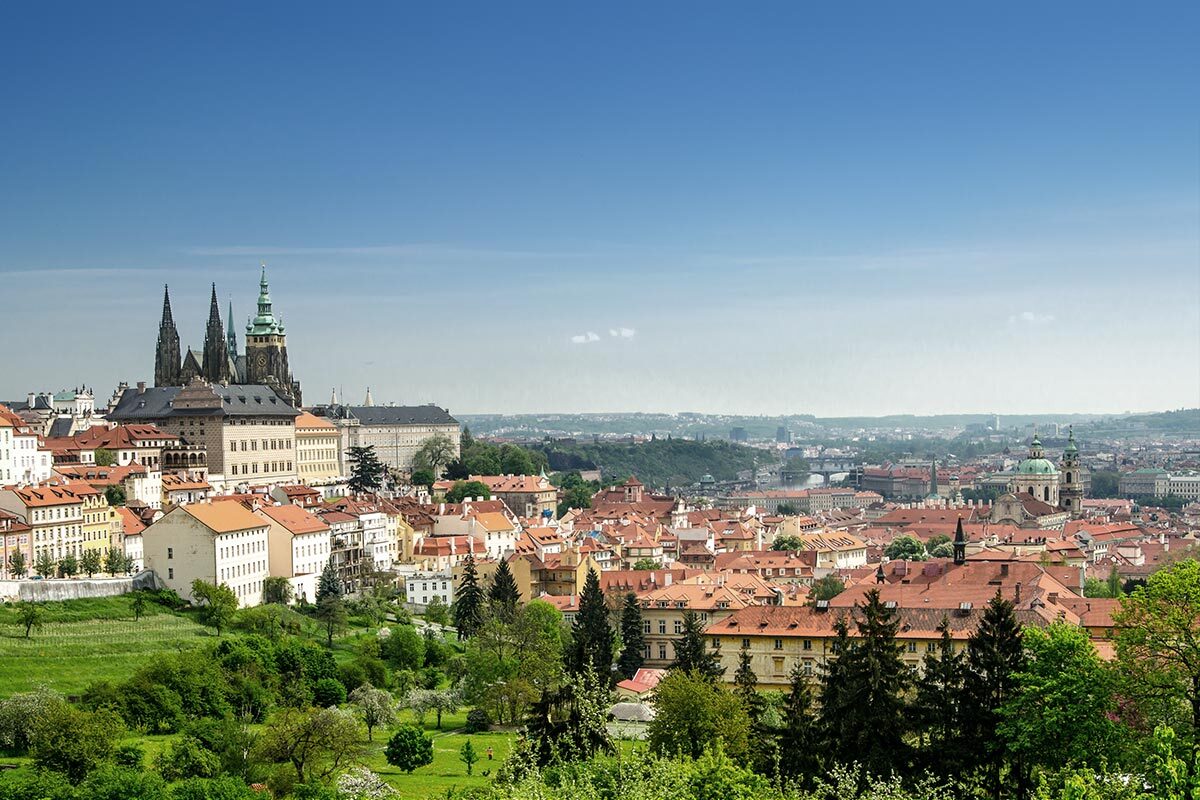 advocado Praha